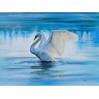 'Wings of Light'©  £375  (30cm x 40cm)